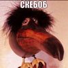 1qvizp1
