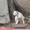 hangtrang025