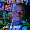 3434adamu