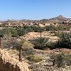 badr.aljhane