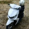 vanzdy1