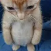 thembundaunuocla
