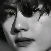 taenimo_07