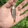juka.pescador