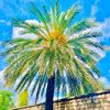 usman__khan__8717