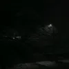 kreyd0017
