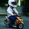 semutgeni31
