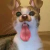 gabriellepph_alt