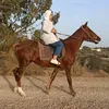 zya_queen