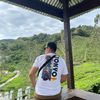 halu.bidin