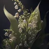 lihongyi_018
