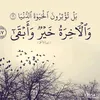 sami_hamad88