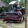 tuwanmuda15tiktok.comtu1