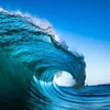 surfer.lover6