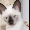 winniedapooh1219