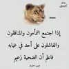 ayham.mtran