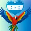 ardondarisgmail1
