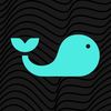 splashsports_