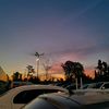 fernanda_13424