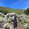 biyi_73