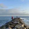 elchemajr2
