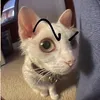 kobtno0