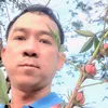 trinhthanhphuong1977