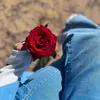 عــُطـــر الــوُرد