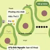 anhhaugai0