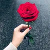 manhy_1982
