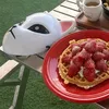 1116_kr