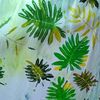 kantha.perera