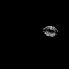 nais_180