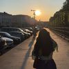 ms._1131