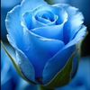mabo.almokdad