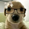 joshua_gaming_710