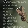 liberdade079