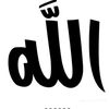 hajjehasss