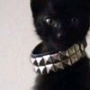 httpssj.47_luxks