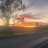 doug_nz