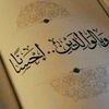 user5683521777206
