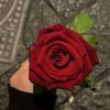 user6080559122983