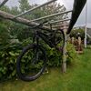 marius_16072010
