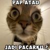 naapiss_debmm