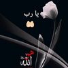 .abo.mhamd7