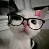 putz_minzokinhah