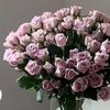 user6195580622842