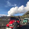 bangdill_05