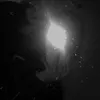 redwaxxx786