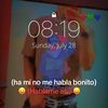 josebaez5037